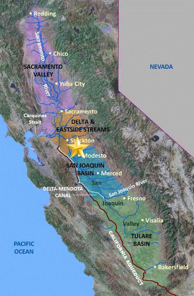 california-new